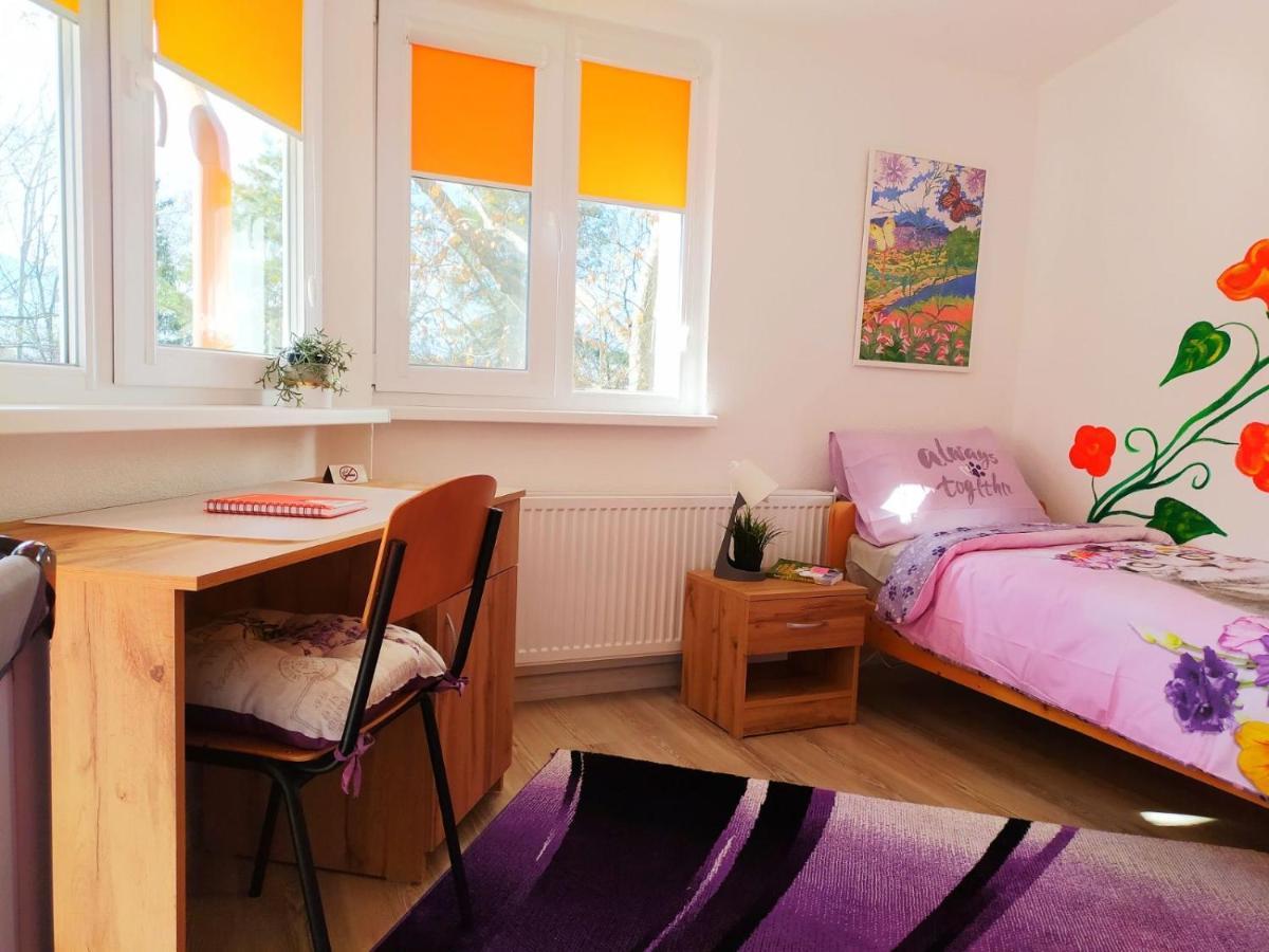 Appartamento Дом За Гости Осогово Kjustendil Esterno foto